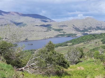Upper Lake, Muckross Lake et Lough Leane : le petit, le moyen et le grand terminent la boucle de l
