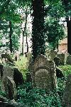 Le cimetière juif. Détail d’une stèle.