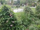 Pour accéder à l&rsquo;église St Kastor, depuis les berges du Rhin, il faut traverser un jardin mignon et très fleuri