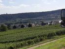 La ville est aussi tributaire de la vigne. Il s’agit d’un des vignobles les plus réputés d’Allemagne.