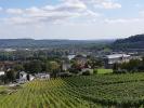 Une activité recommandée par l’office du tourisme est de faire la visite des vignobles en petit train. Bof, bof