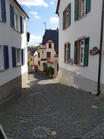 Jolie perspective d’une rue en pente prise depuis le petit train qui nous a baladé dans les vignes