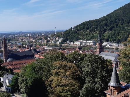 Vue de loin de la ville universitaire d’Heidelberg