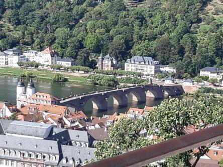 Vue du vieux pont depuis les hauteurs du château