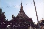 Un temple dans les klongs, le chedi