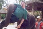 Ecole des éléphants : délicat comme un éléphant ? ...