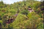 En train, entre Chaiang Maï et Bangkok : la forêt tropicale