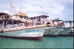 Les bateaux attendent le retour des touristes