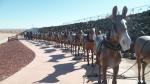 À l&rsquo;époque de la conquête de l&rsquo;ouest, convoi de transport du borax : The Twenty Mules Team
