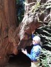 Cette cavité où se trouve notre guide a été créée par le feu