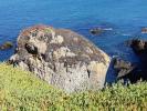 Rocher couvert de lichens