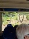 Végétation forestière tropicale en pleine ville