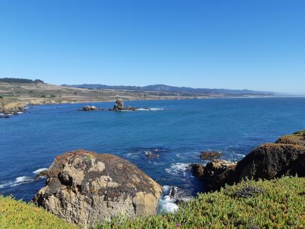 La côte sauvage du Pacifique entre Santa Cruz et San Francisco