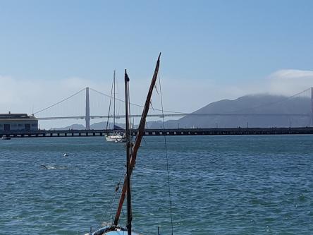Golden Gate vu depuis Pier 39